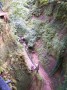Shanklin Chine 3 * 1524 x 2032 * (946KB)